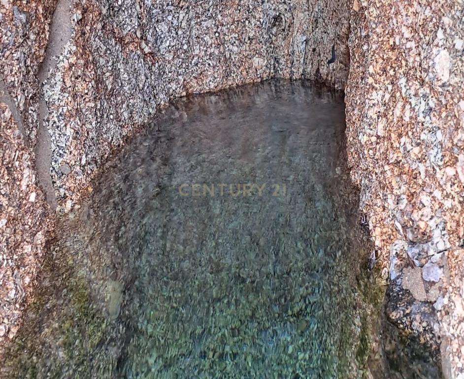 Moradia para reconstrução em Lardosa, Soalhães - Image 9