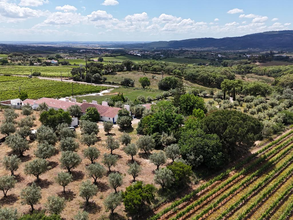 Quinta T3+3 com 4 HA em Borba – Natureza, Produção Agrícola e Conforto - Image 35