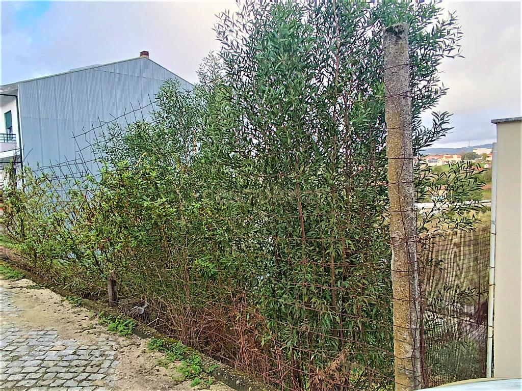 Lote para construção de moradia com 3 frentes perto do Freixo em Valbom, Gondomar, Porto - Image 3
