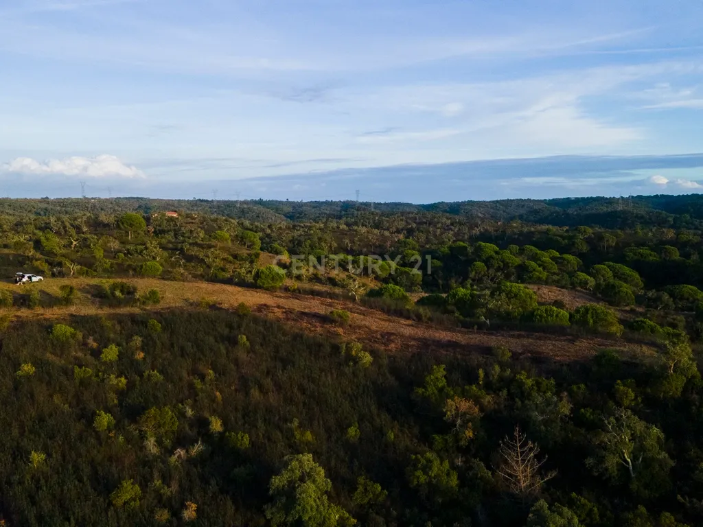 Terreno único com vista mar e elevado potencial para Hotel Rural na Costa Alentejana - Santiago do Cacém - Image 4