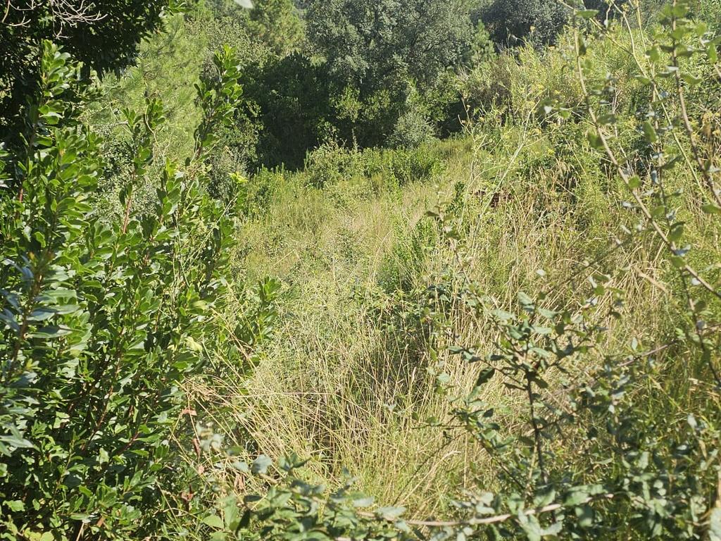 Encantadora Propriedade em Massanes, Girona por 29.900€ - Image 5