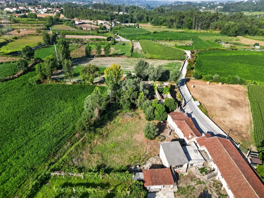 Quinta de Verim – 22.000 m² de história, natureza e potencial - Image 13
