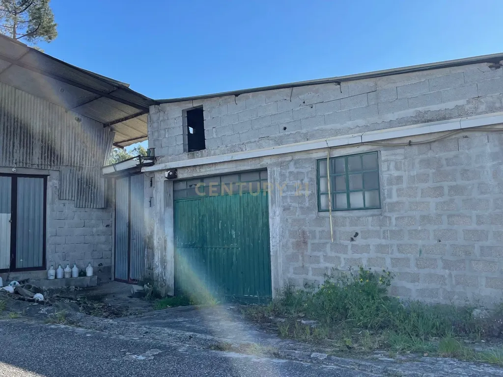 Terreno em Paredes - Vista Cidade e Acesso Fácil - Image 10