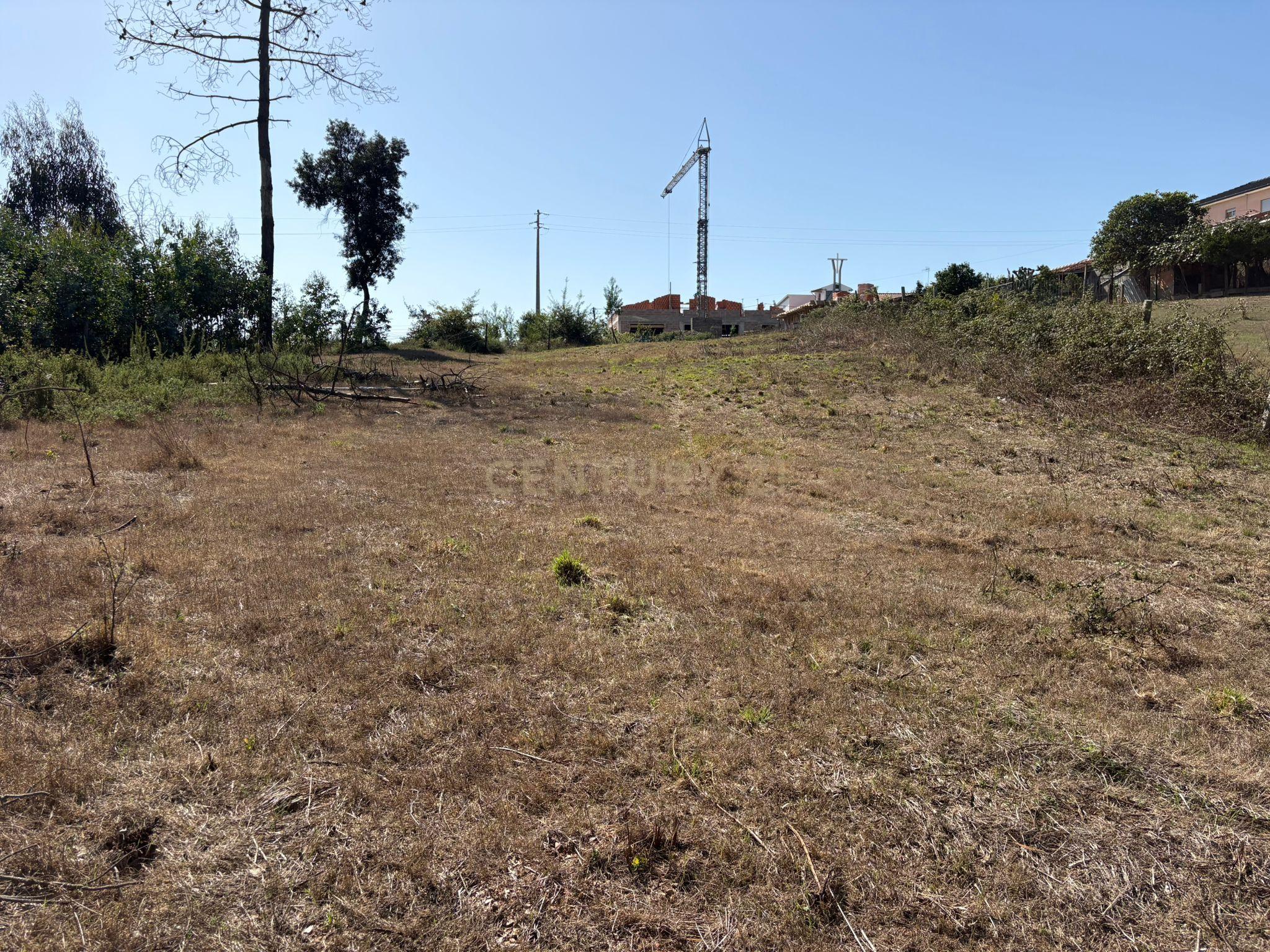 Fotografia 6 de Terreno Urbano em Angeja, Albergaria a Velha