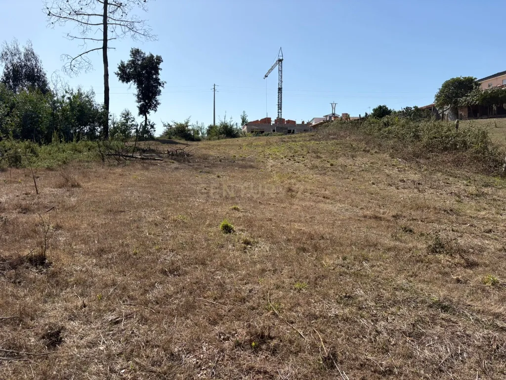 Terreno Urbano em Angeja, Albergaria a Velha - Image 6