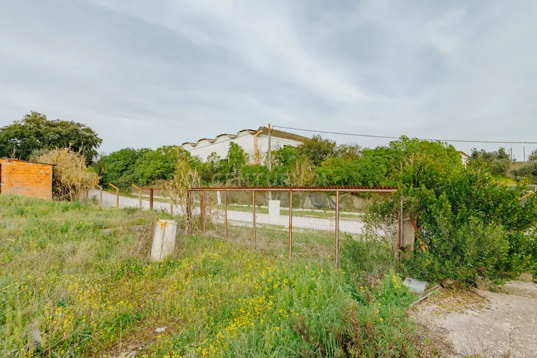 Terreno Urbano com 8 600 m2 para construção, Alcácer do Sal - Image 9