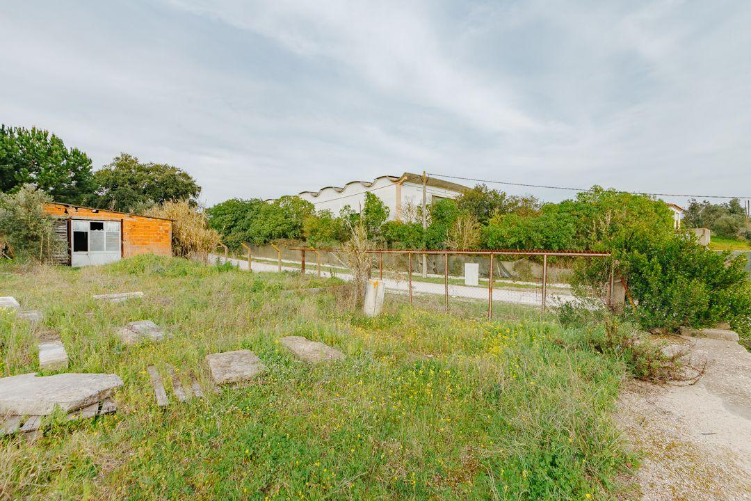 Terreno Urbano com 8 600 m2 para construção, Alcácer do Sal - Image 8