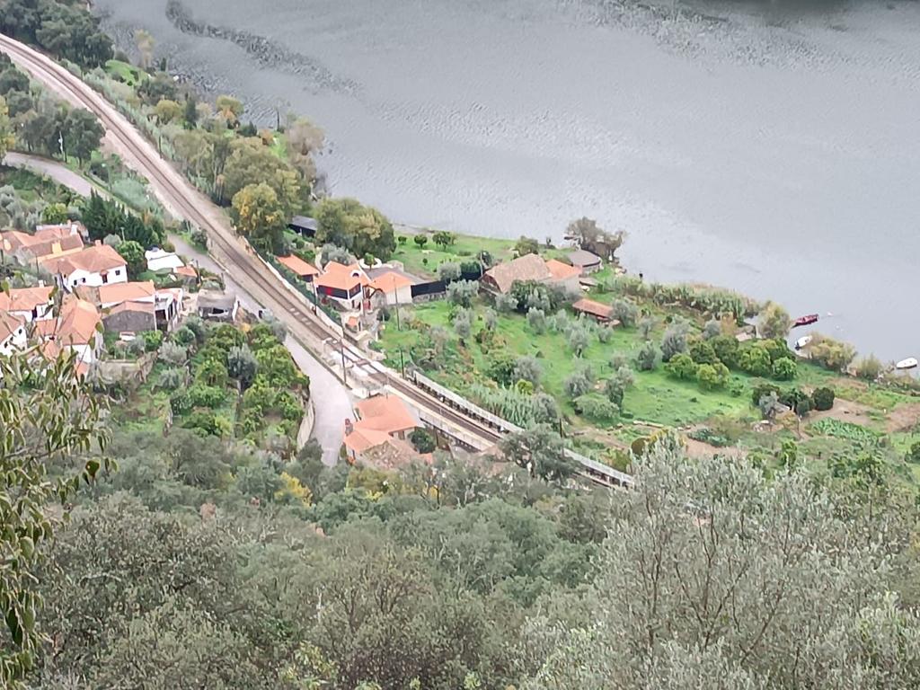 Terreno florestal com vista para a praia fluvial de Porto de Rei em Barqueiros, Mesão Frio às portas do Douro - Image 2