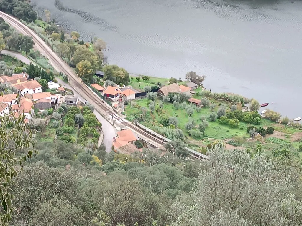 Terreno florestal com vista para a praia fluvial de Porto de Rei em Barqueiros, Mesão Frio às portas do Douro - Image 2