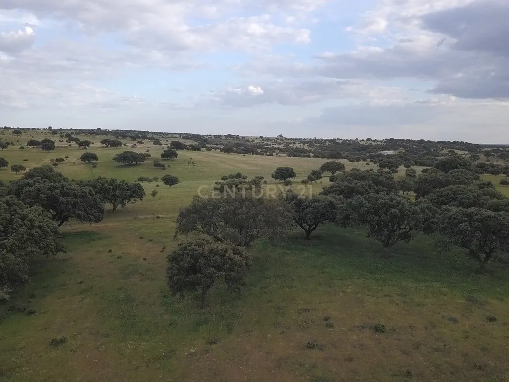 Monte Alentejano - Herdade das Lavradias, Mourão - Image 16