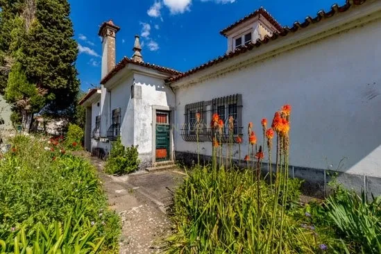 Moradia Cinquentenária em Abrantes com vista Rio Tejo - Image 3