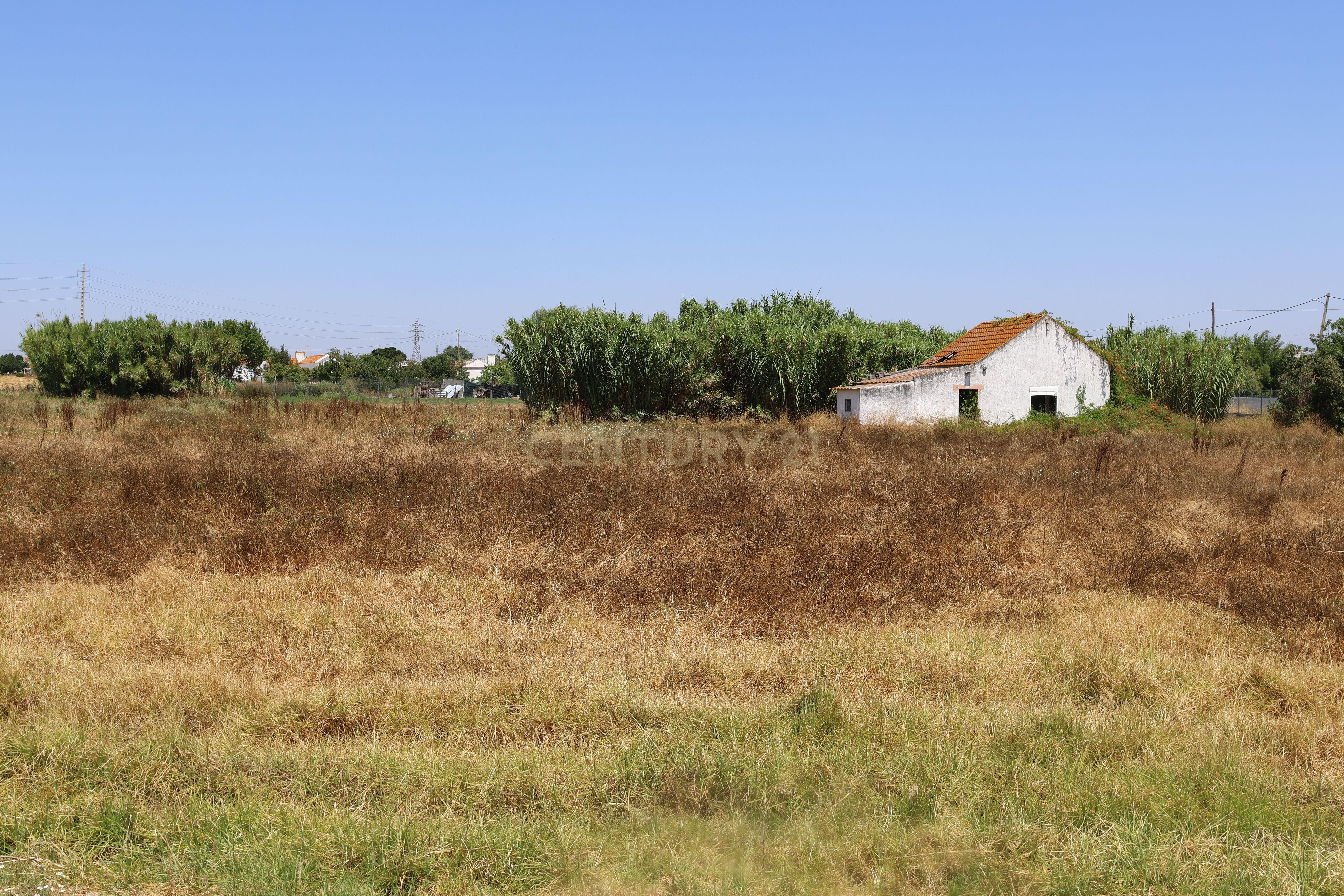 Fotografia 7 de Terreno com casa para recuperação