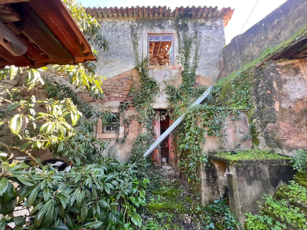 Casa com Adega para Reconstrução na Aldeia de Crastos - Image 1