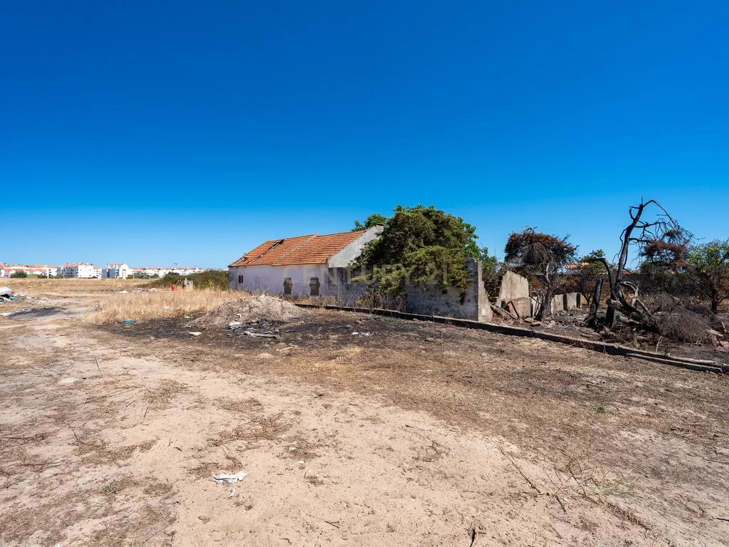 💥 Terreno Rústico com 10.105 m² em Zona Industrial – Montijo - Excelente Investimento! 💥 - Image 5