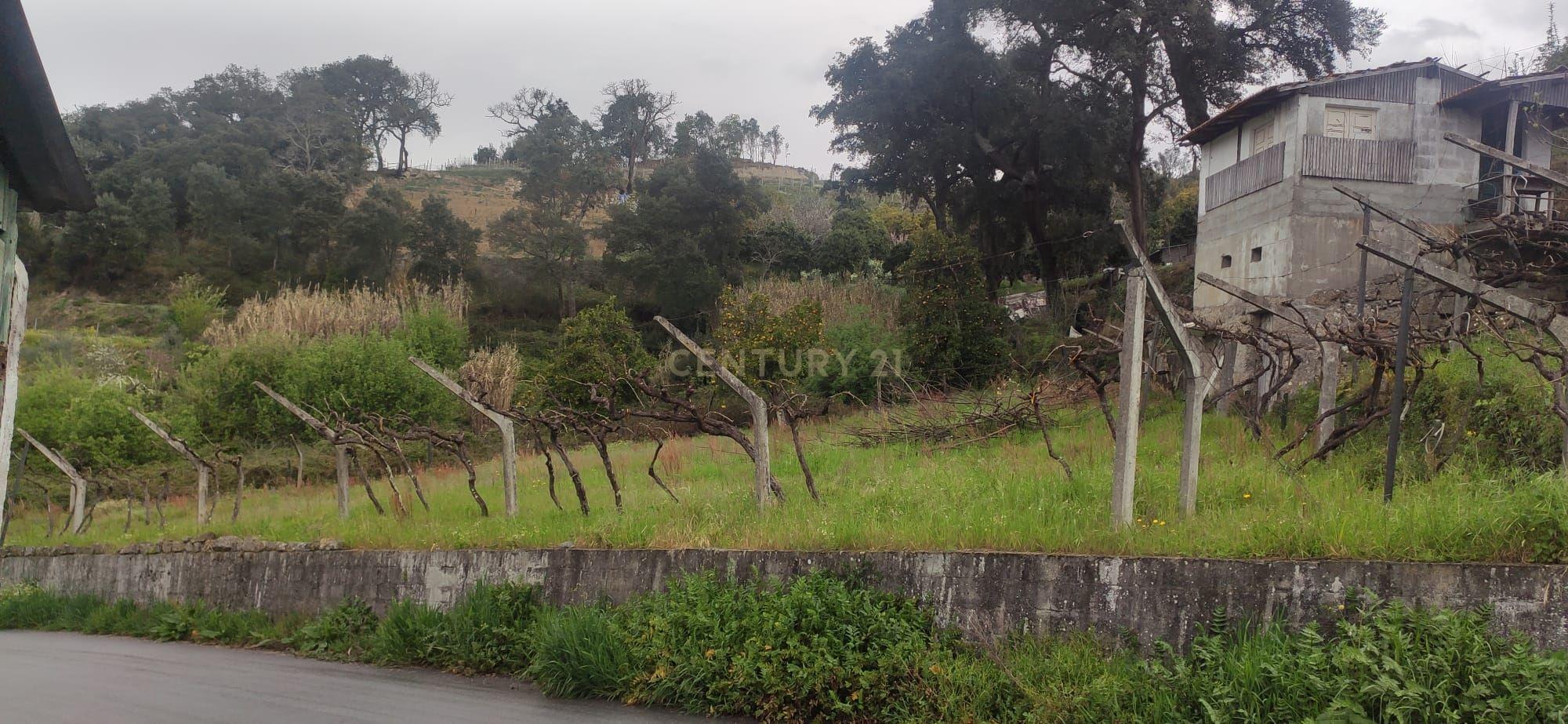 Terreno agrícola com àgua e viabilidade de construção em Granja, S. Tomé de Covelas, Baião, perto do do rio Douro, Porto - Image 21