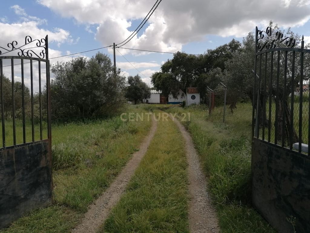 Quinta Rústica em Évora com 8.750 m2 e uma Vista Campestre - Image 2