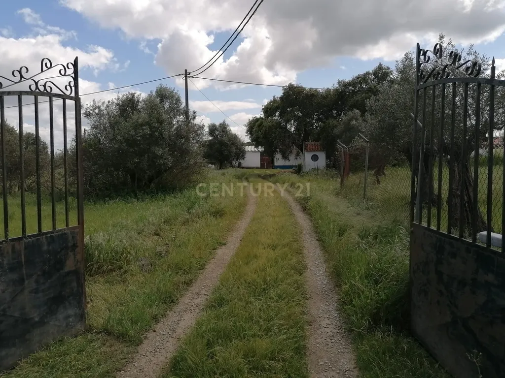 Quinta Rústica em Évora com 8.750 m2 e uma Vista Campestre - Image 2