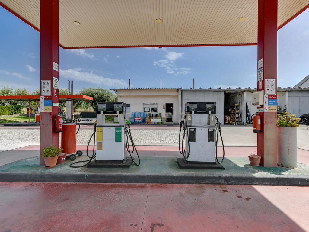 OPORTUNIDADE 360º – Moradia T3 + Posto de Combustível GALP + Terrenos (36 000 m²) - Image 46