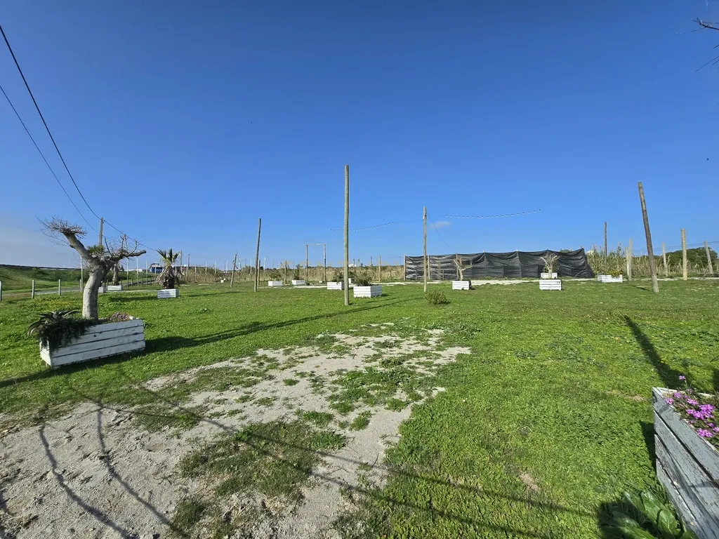 Moradia Isolada inserida em Quinta com terreno de 13000m2 em Peniche - Image 14