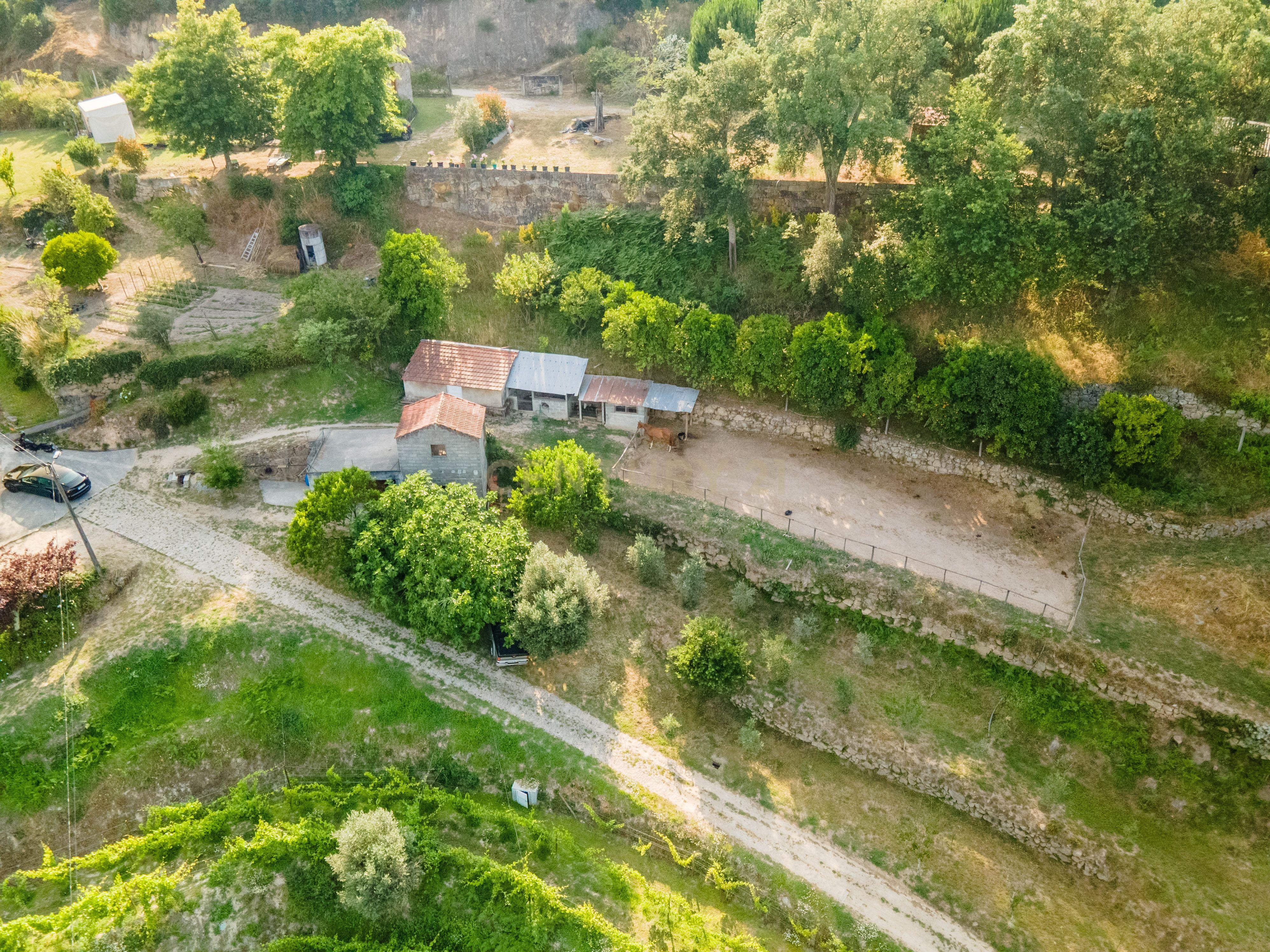 Quinta com Vista Deslumbrante sobre o Rio Douro – Projeto Aprovado para Hotel Rural | Paços de Gaiolo - Image 22