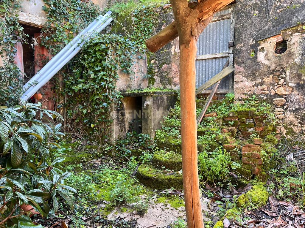 Casa com Adega para Reconstrução na Aldeia de Crastos - Image 9