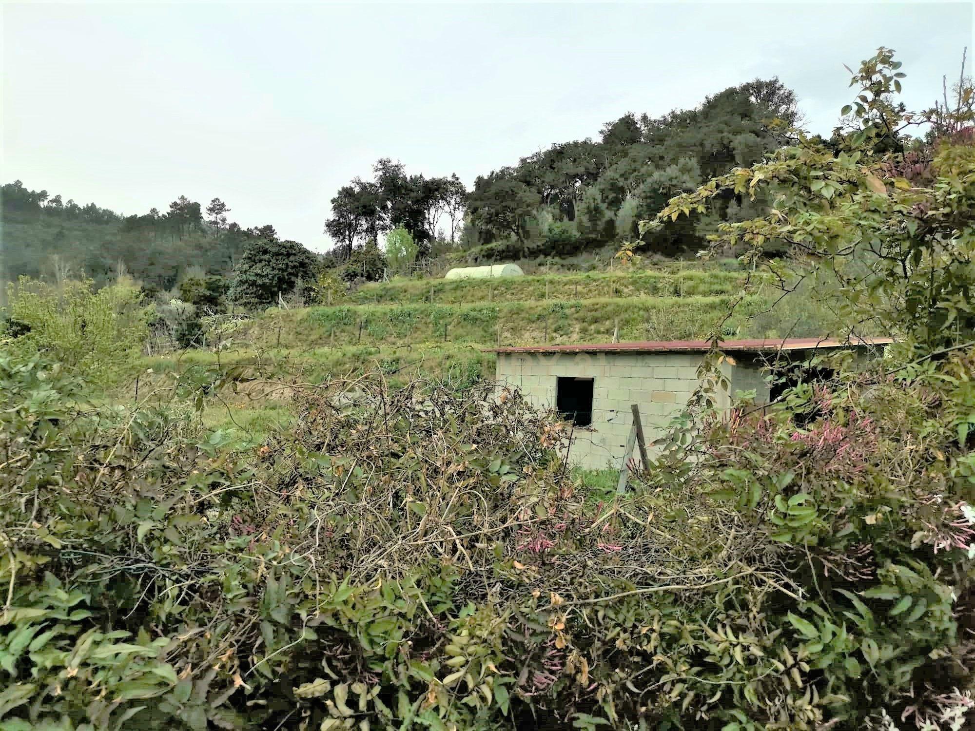 Terreno agrícola com àgua e viabilidade de construção em Granja, S. Tomé de Covelas, Baião, perto do do rio Douro, Porto - Image 7