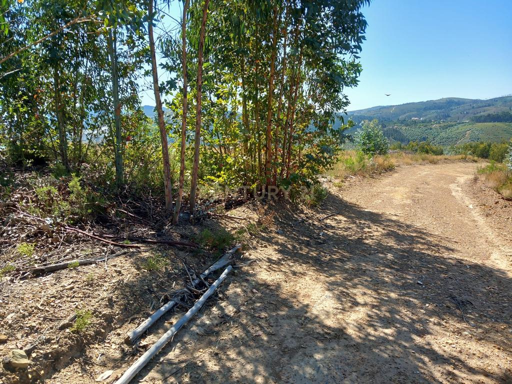 Terreno Rustico, Roqueiro - Image 5