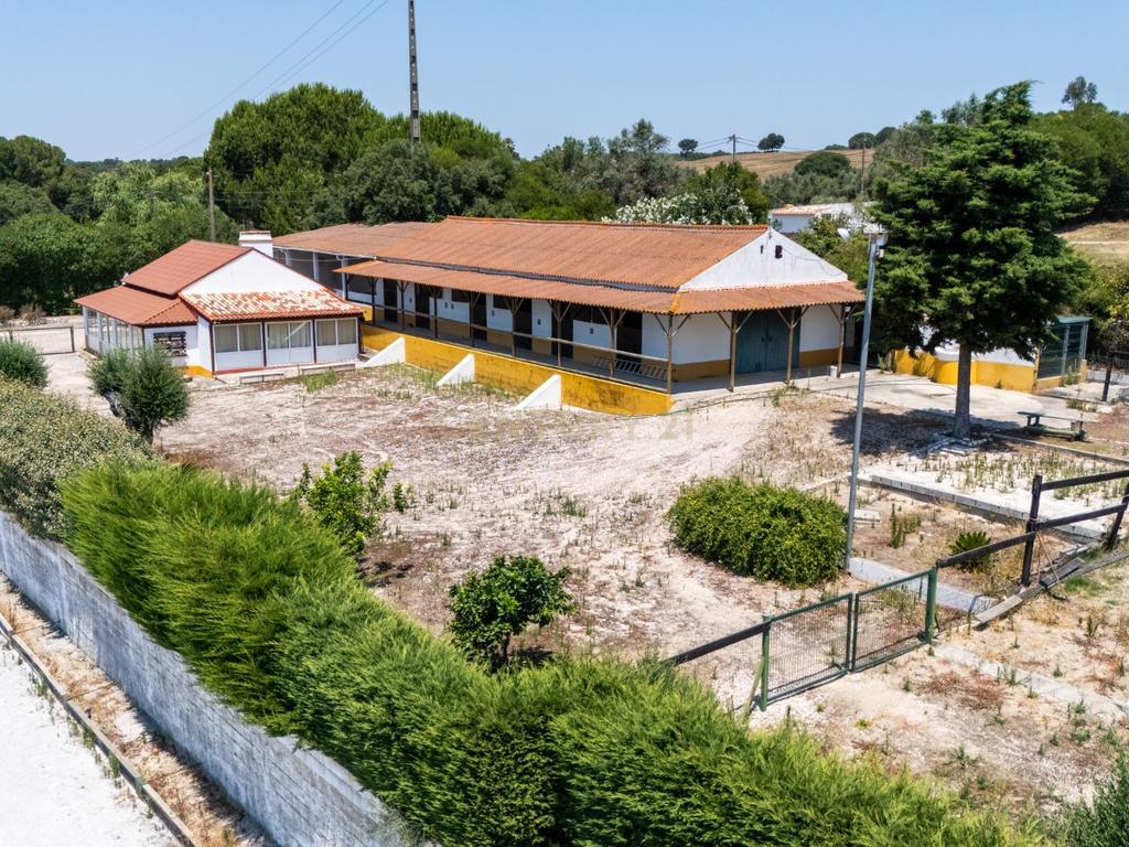 Quinta Equestre a 45 minutos de Lisboa - Image 7