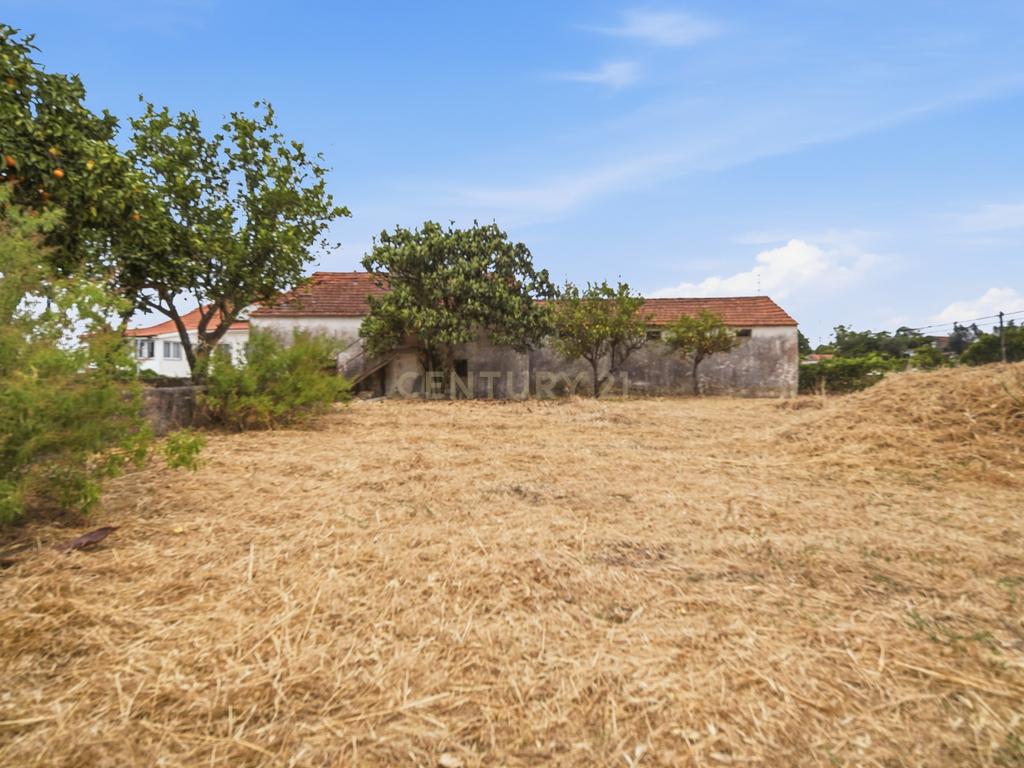 Quinta de Charme com Moradia Bifamiliar T7 e Potencial Único | Carril, Junceira – Tomar - Image 80