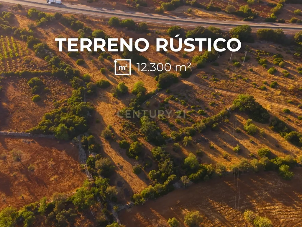 Terreno Rústico com 12.300 m² em Moncarapacho - Olhão - Algarve - Image 1
