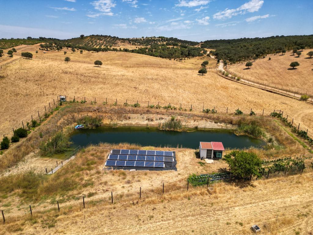 Herdade de 62 Hectares no Coração do Alentejo – Évora - Agricultura - Pecuária - Turismo Rural - Painéis Solares - Image 40
