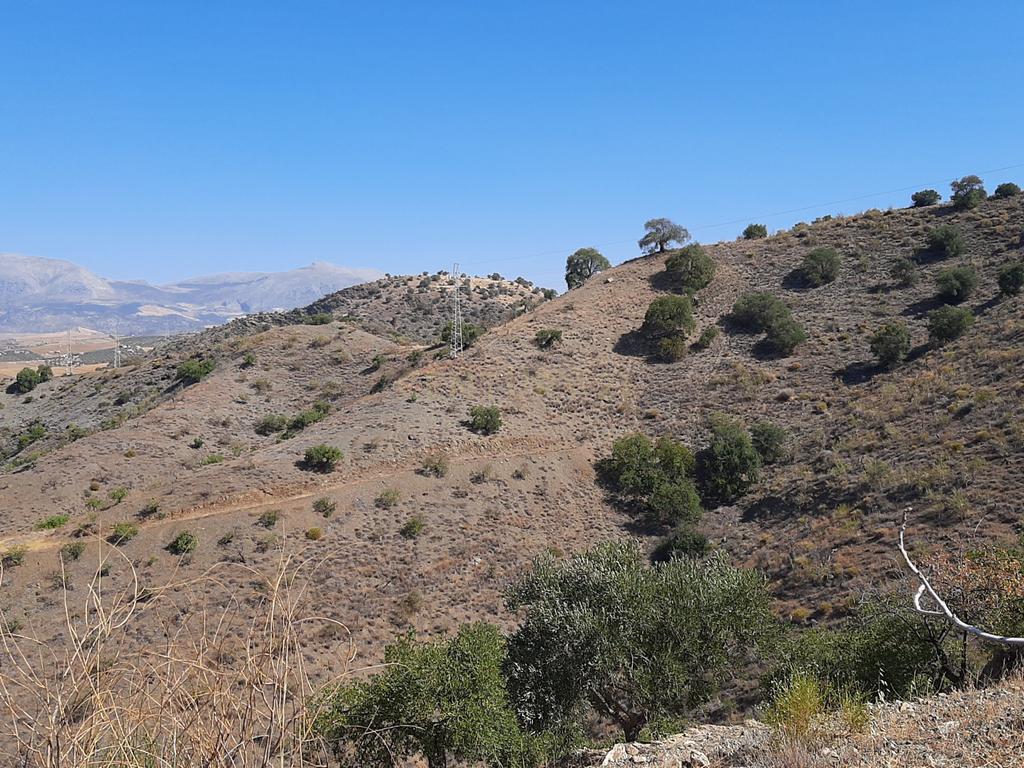 QUINTA RÚSTICA COM 11.000 m² DE TERRENO, PRIVACIDADE E VISTAS PANORÂMICAS EM ÁLORA - Image 31