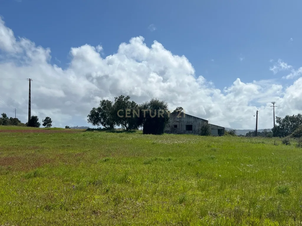 Terreno Industrial de 20.500 m² em Localização Estratégica - Image 11