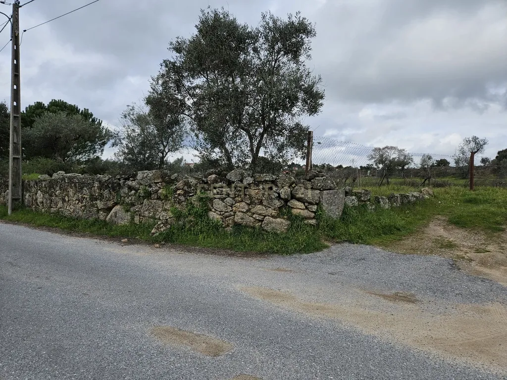 Quintinha na Lousa, Castelo Branco - Image 41
