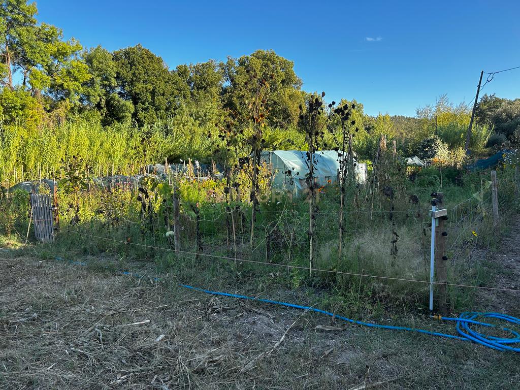 Quinta c/2,5 hectares , casa pré fabricada e ruína para reconstrução. - Image 18