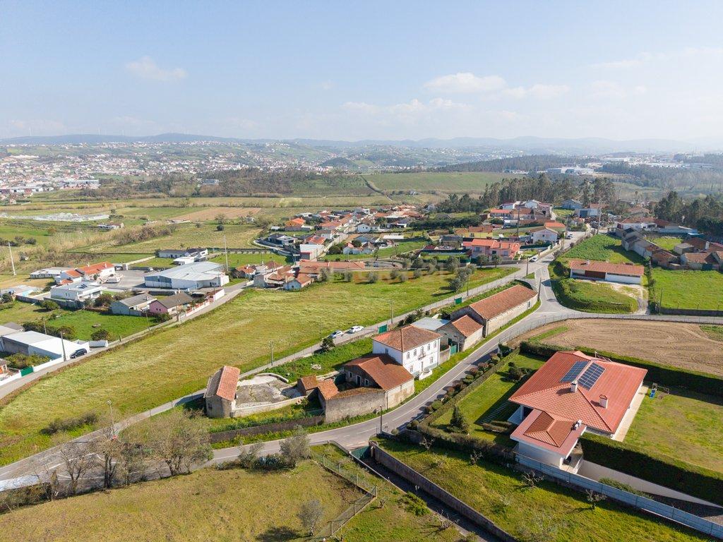 Jardim