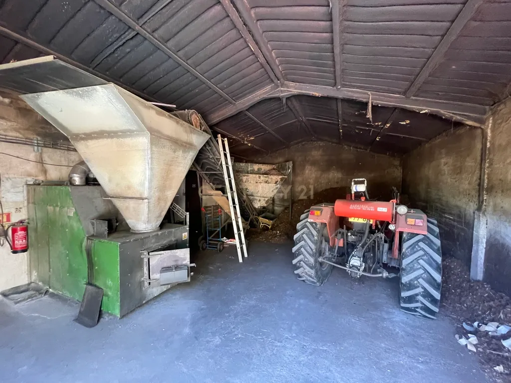 Terreno de 7.500 m² situado próximo ao lago, contendo uma casa a ser restaurada e um aviário automatizado altamente rentável. - Image 23