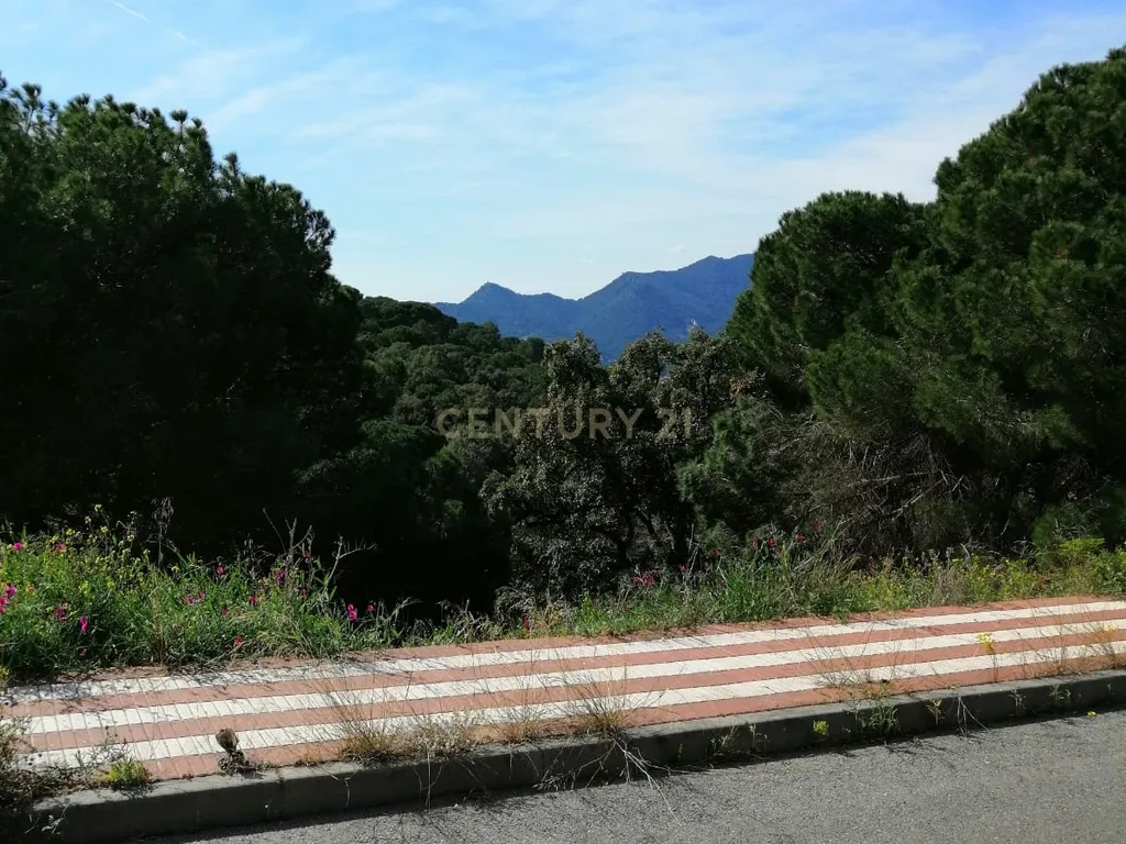 - Image 6