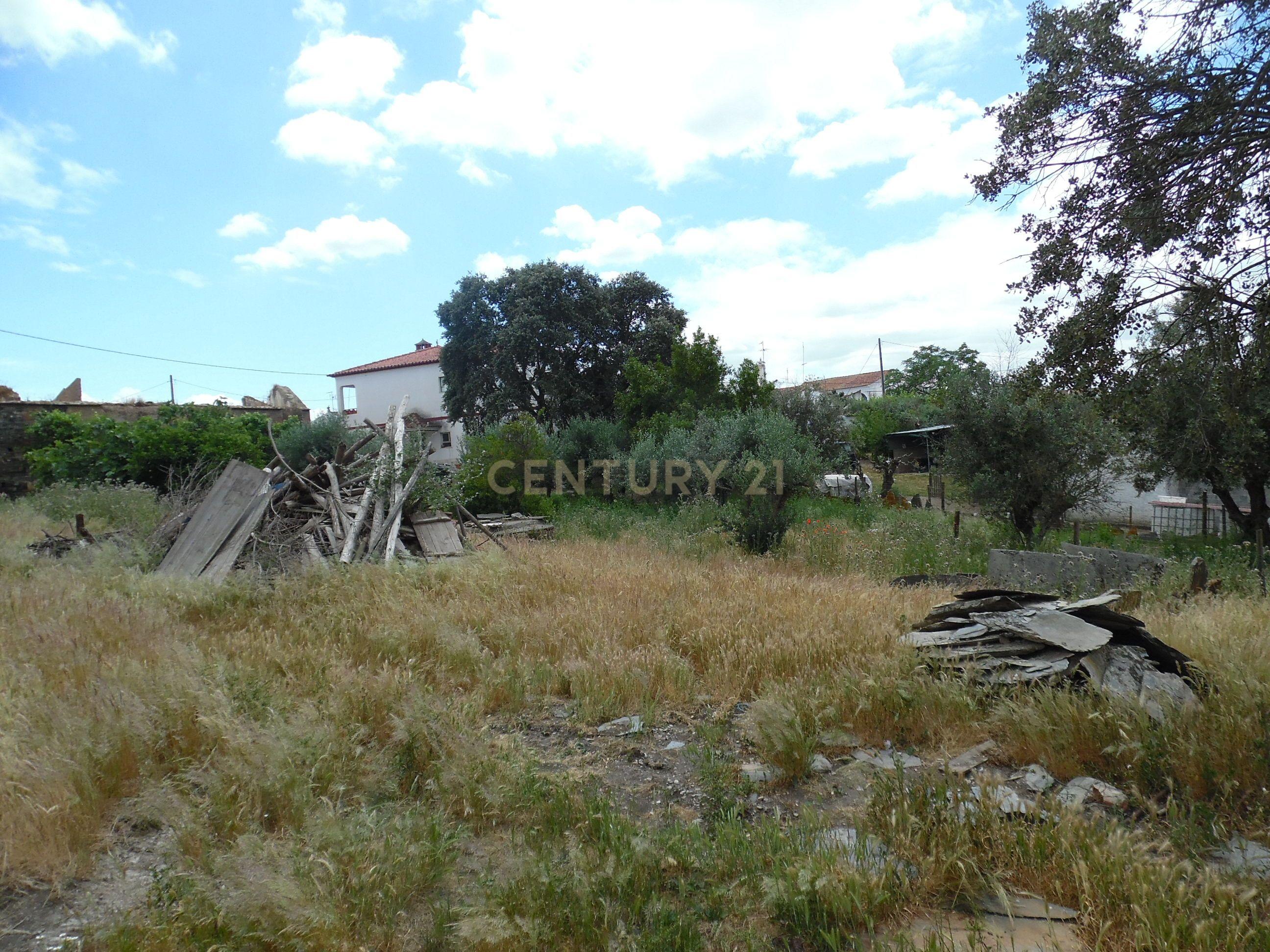 Fotografia 11 de Quinta em Capelins,  Alandroal - Évora,  Oportunidade Única