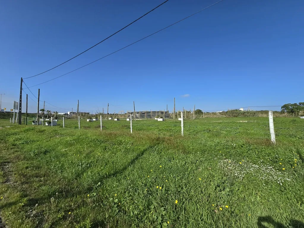 Moradia Isolada inserida em Quinta com terreno de 13000m2 em Peniche - Image 13