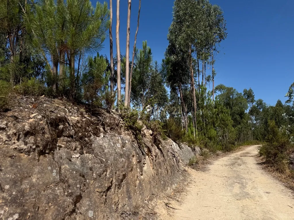 Terreno Urbano em Almalaguês, Coimbra - Image 2