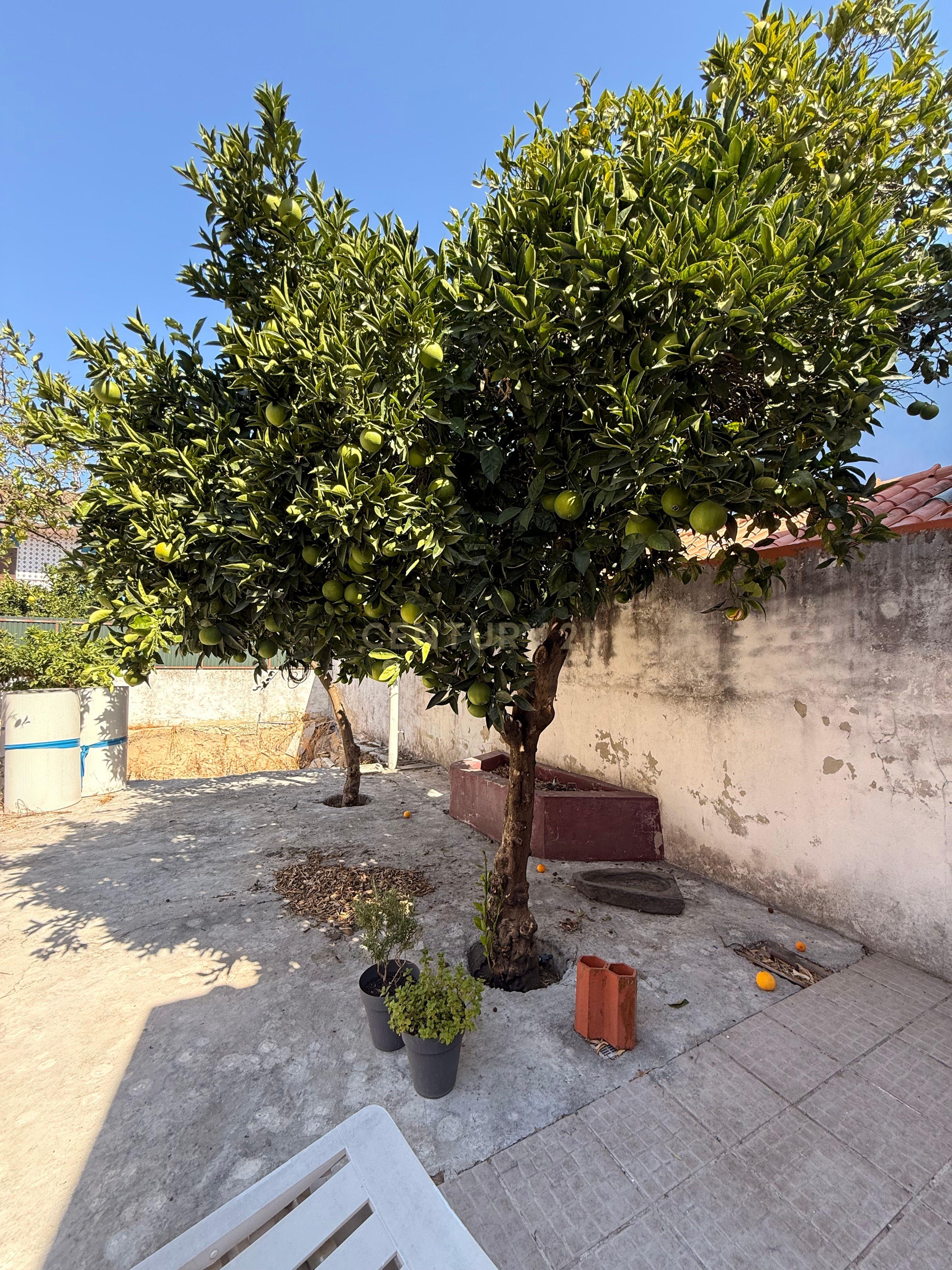Moradia T2 à venda em Baixa da Banheira e Vale da Amoreira, Moita — foto 16