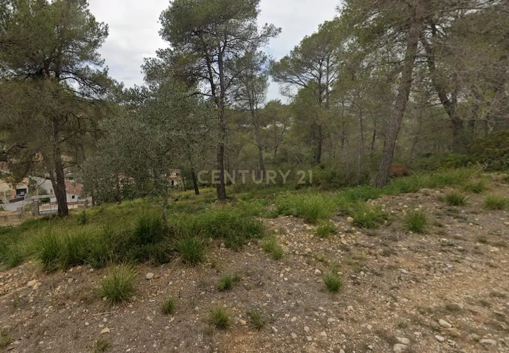 - Image 5