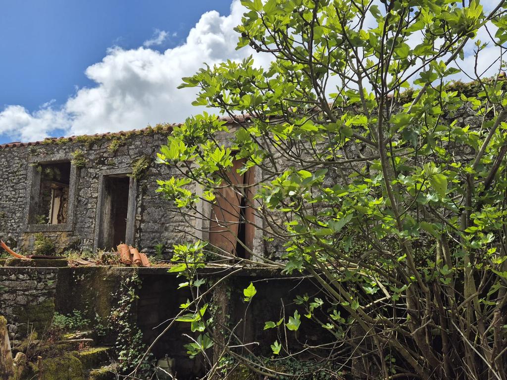 Oportunidade Única - Refúgio com vista para a Serra de Sicó, em Cotas, Pombalinho.  - Image 30