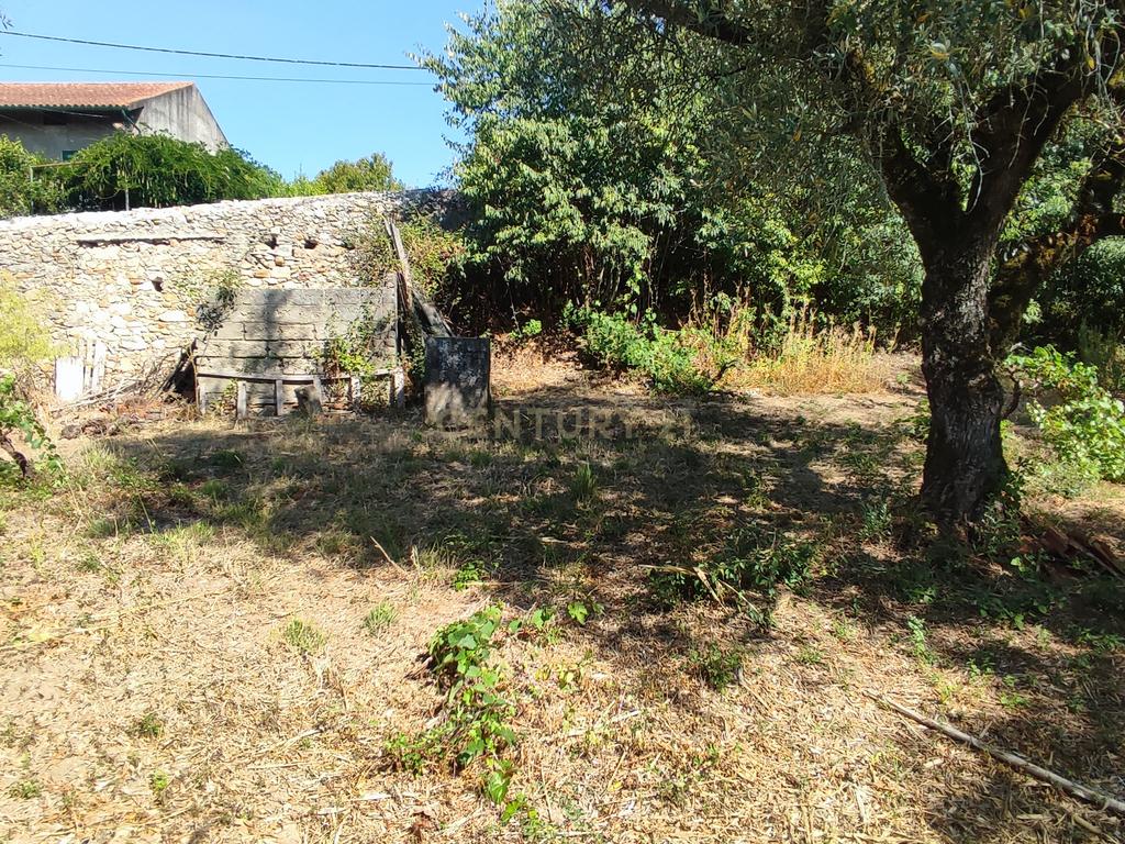 Terreno para construção de moradia em Geria, às portas da cidade de Coimbra - Image 3