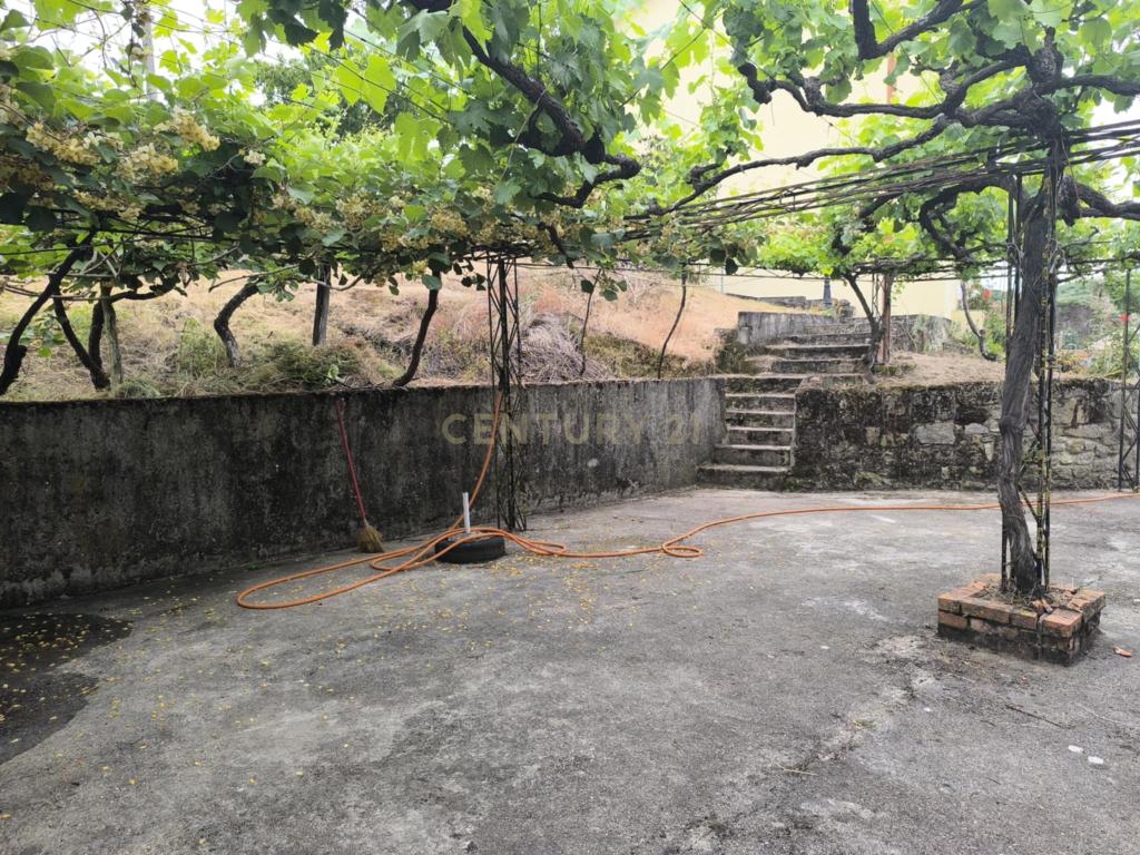Casas prontas a habitar com terreno, arvores de fruto, forno e água própria. - Image 2