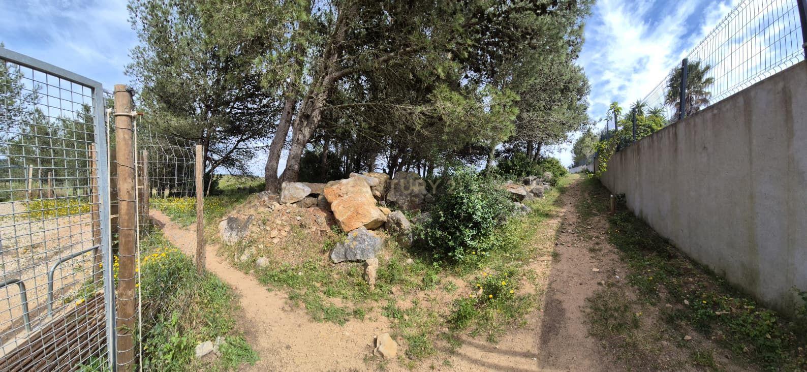 Fotografia 9 de Terreno Rústico com 20.000 m² em Murches, Cascais – Vista Serra de Sintra e Potencial Construção
