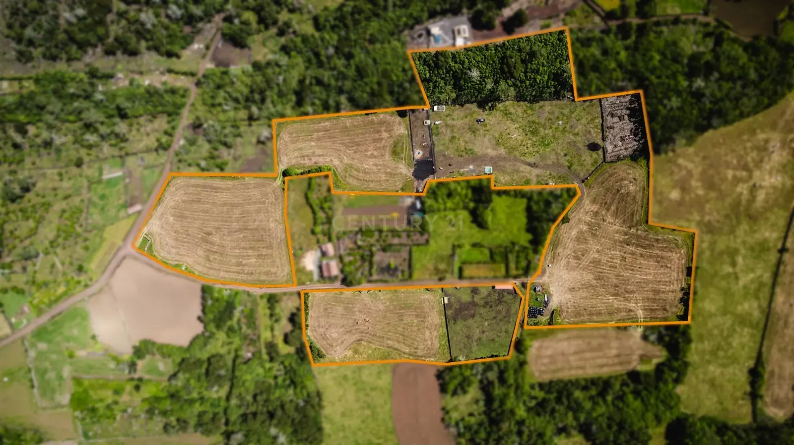 Fotografia 4 de Terreno à Venda na Madalena, Ilha do Pico - 43.000m²