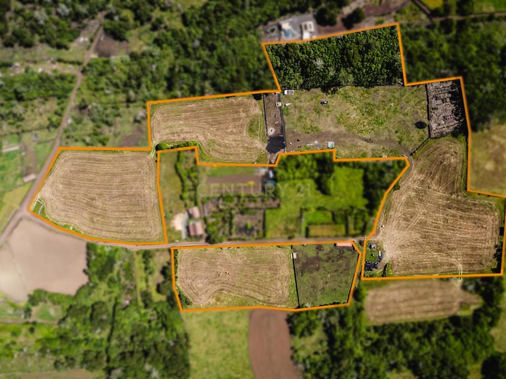 Terreno à Venda na Madalena, Ilha do Pico - 43.000m² - Image 4