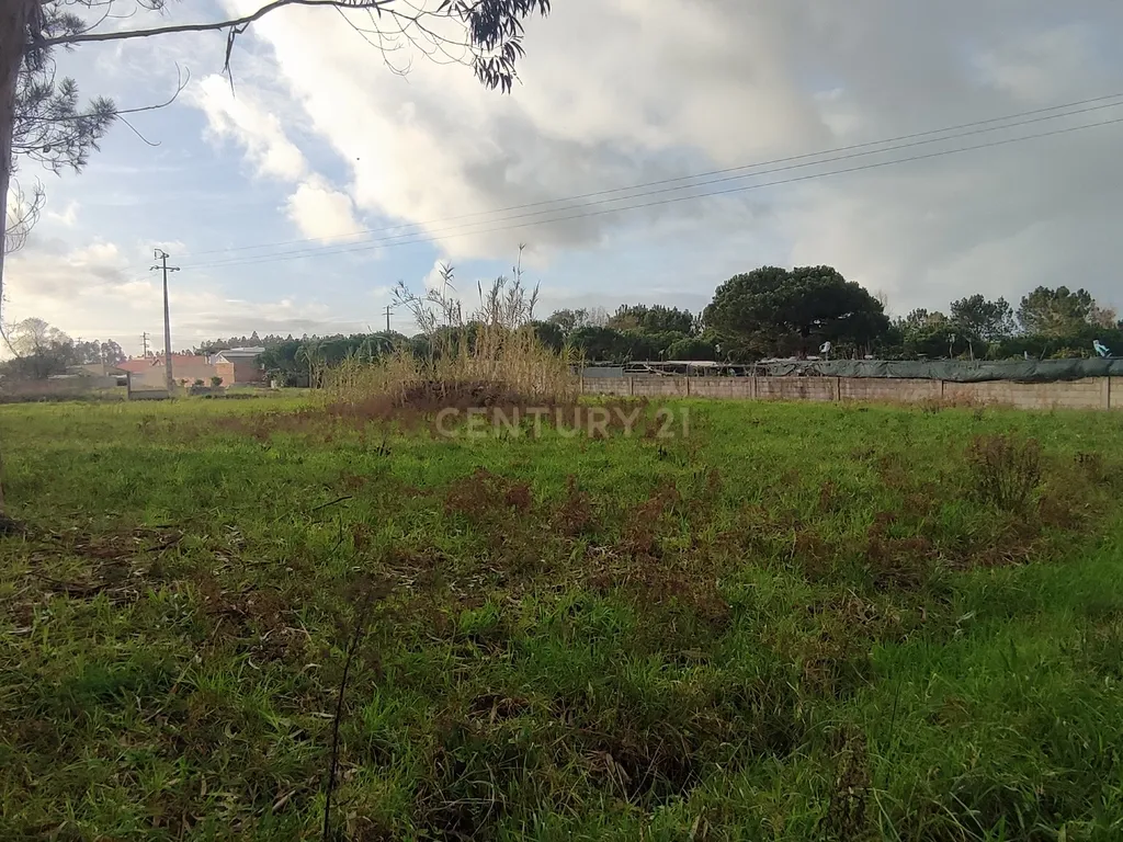 Terreno para construção na Moita, Marinha Grande - Image 2